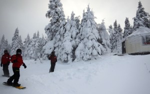 ???????????????????????????????