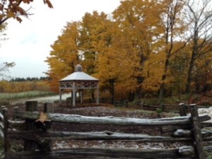 Première neige au Baluchon
